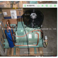 Bitzer Condensing Unit (water chiller)